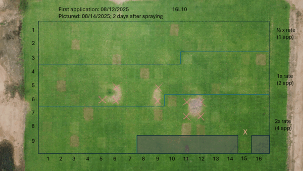 Preemergent injury to established kikuyugrass - 2 to 18 days after application