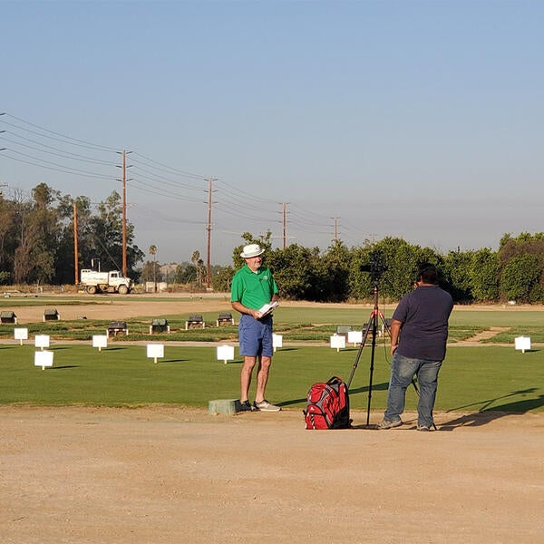 Turfgrass Salinity