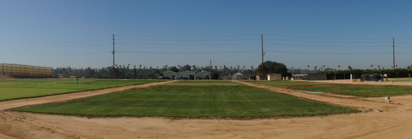 Turfgrass Panorama