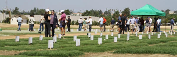 Turfgrass Field Day