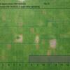 Preemergent injury to established kikuyugrass - 2 days after application